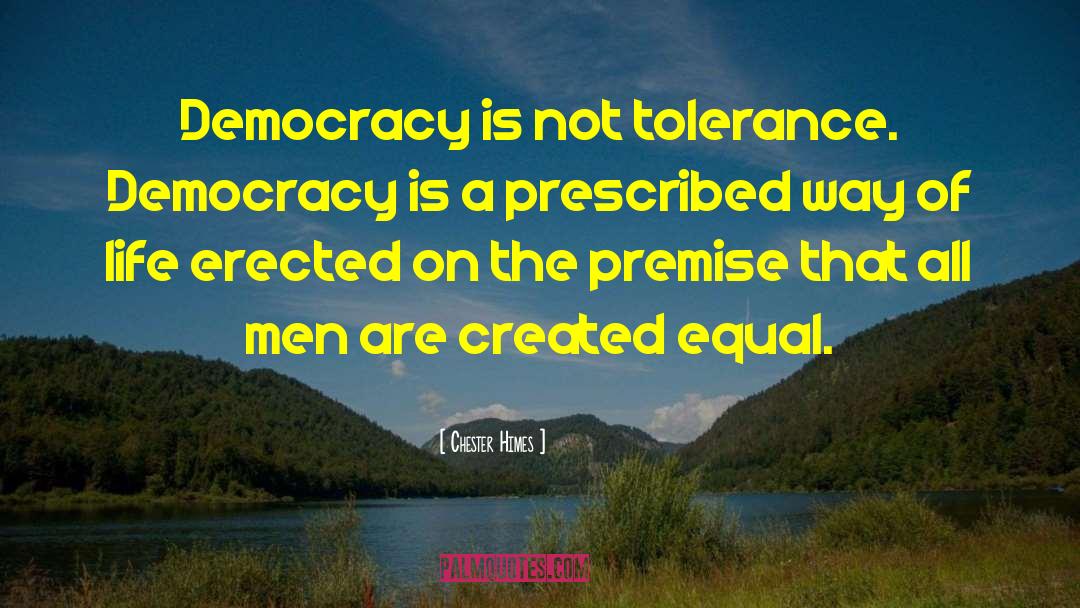 Preserve Democracy quotes by Chester Himes