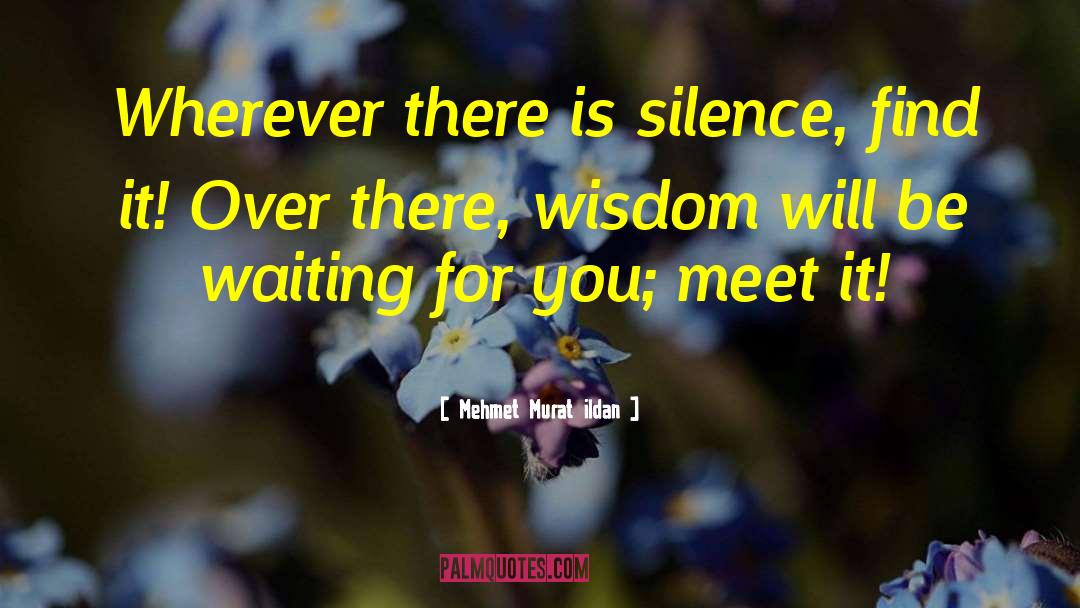 Preserving Wisdom quotes by Mehmet Murat Ildan