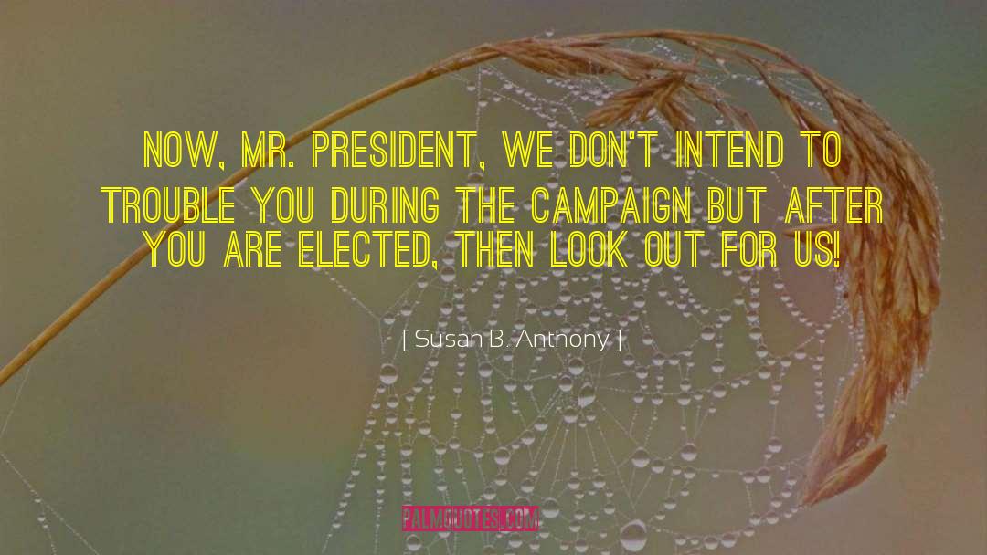 Presidential Campaign quotes by Susan B. Anthony