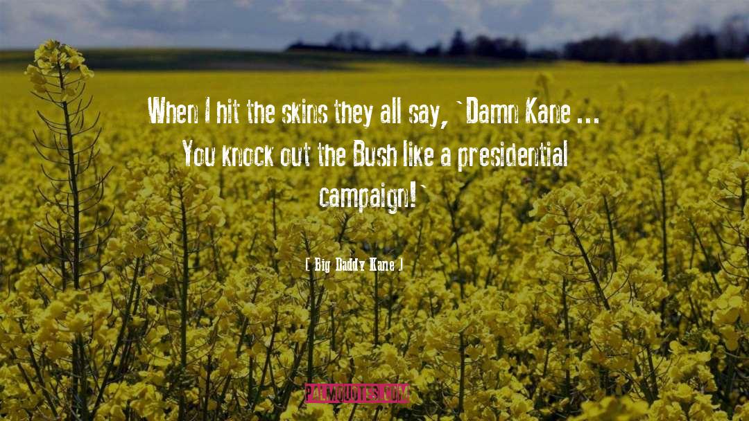 Presidential Campaign quotes by Big Daddy Kane