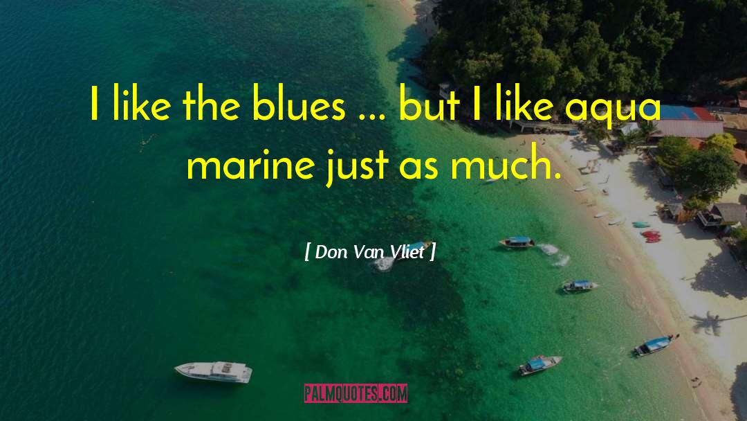 Presotto Aqua quotes by Don Van Vliet