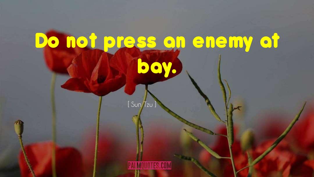 Press Freedom quotes by Sun Tzu
