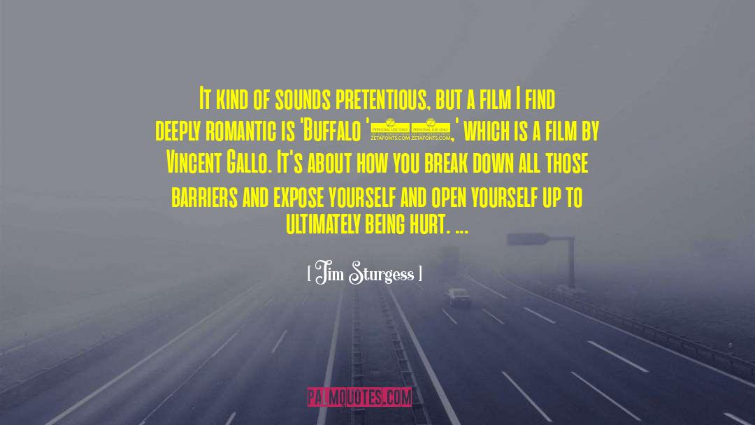 Pretentious quotes by Jim Sturgess