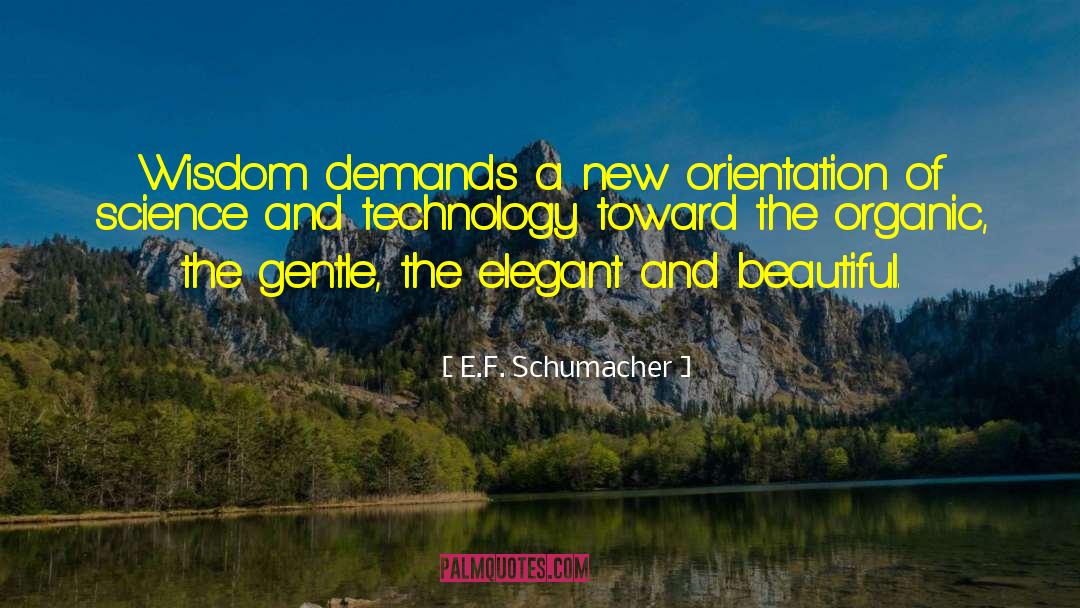 Pretentiously Elegant quotes by E.F. Schumacher