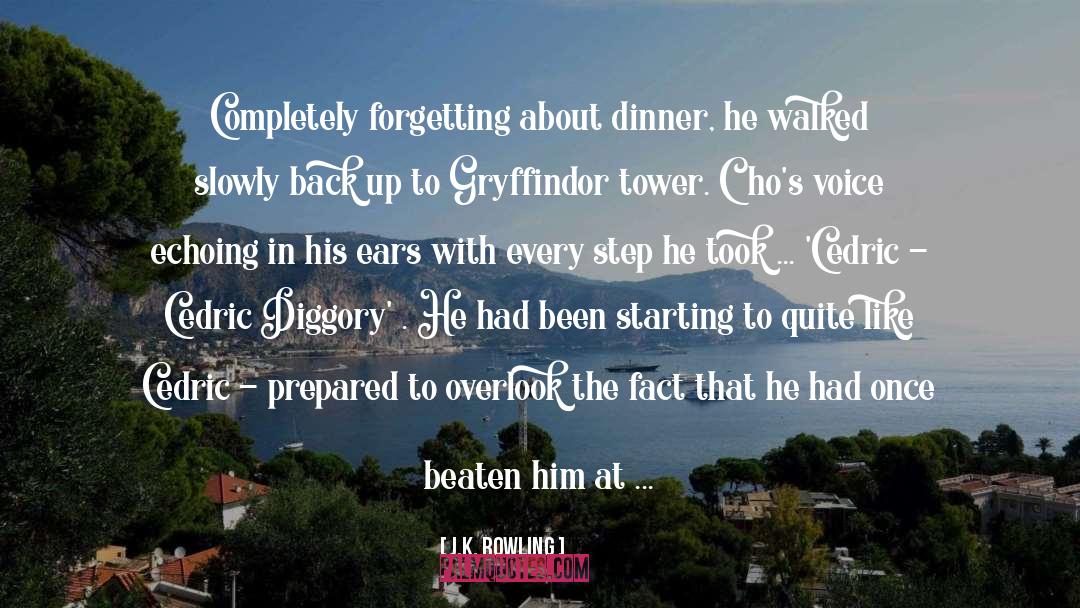 Pretty Boy quotes by J.K. Rowling