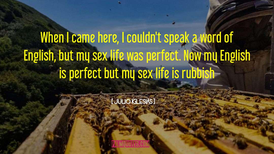 Pretty Life quotes by Julio Iglesias