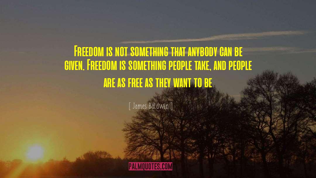 Price Of Freedom quotes by James Baldwin