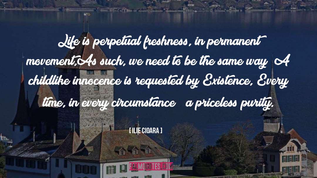 Priceless Things quotes by Ilie Cioara