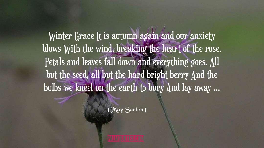 Pride Goes Before Fall quotes by May Sarton