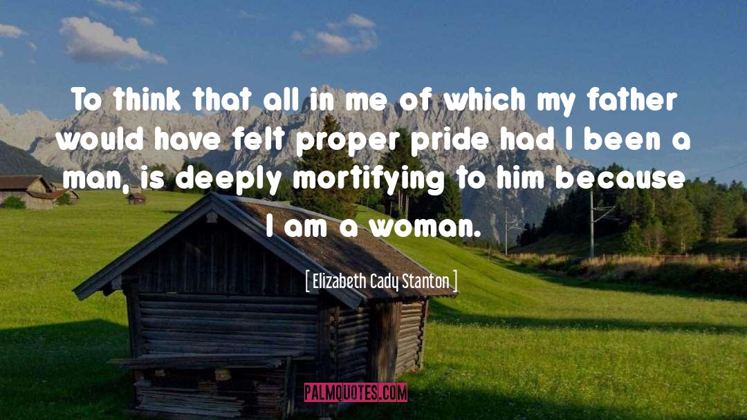 Pride In Work quotes by Elizabeth Cady Stanton
