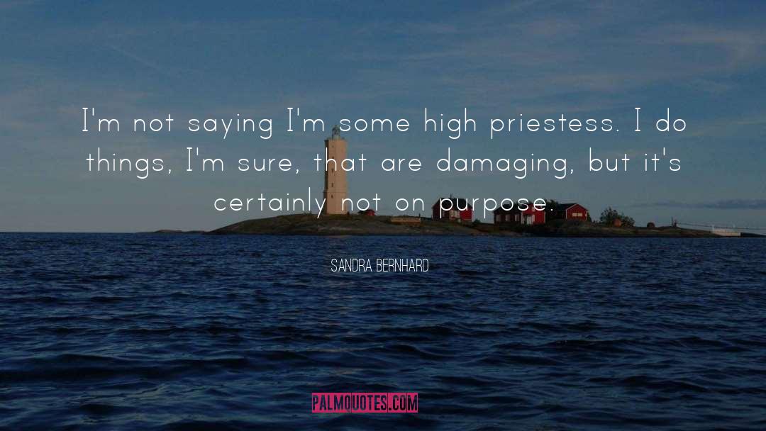 Priestess quotes by Sandra Bernhard