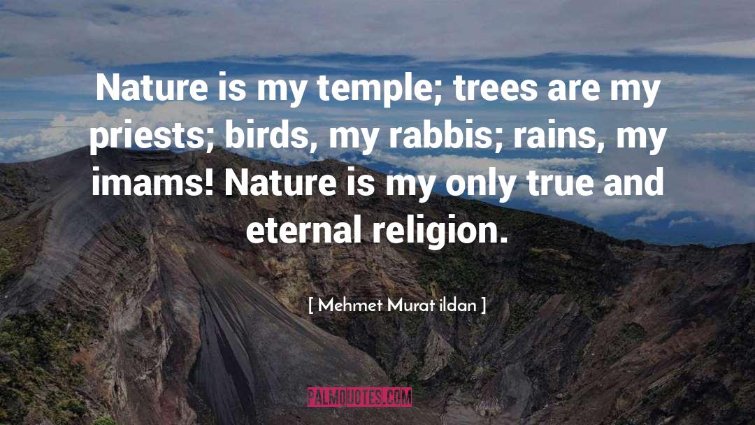 Priests quotes by Mehmet Murat Ildan