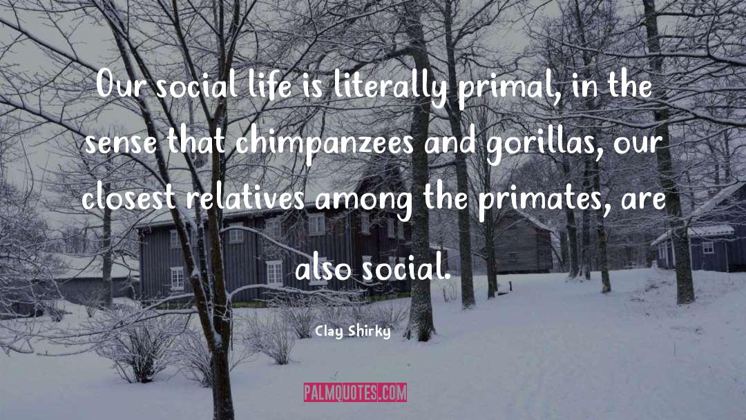 Primal quotes by Clay Shirky