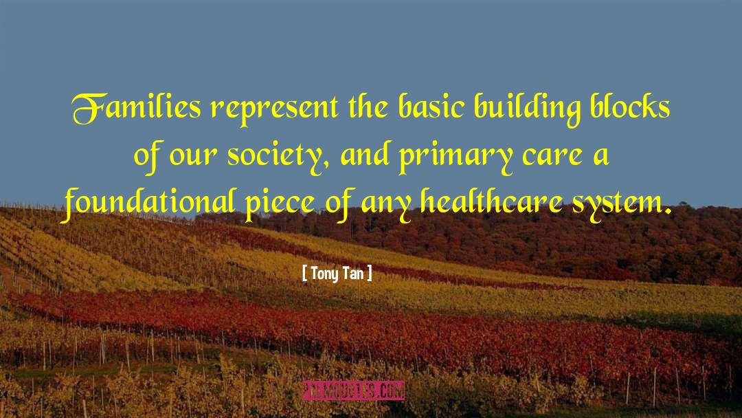 Primary Care quotes by Tony Tan