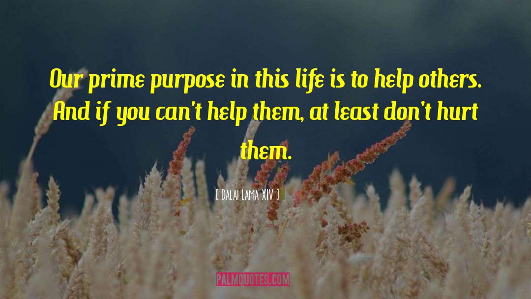 Prime Purpose quotes by Dalai Lama XIV