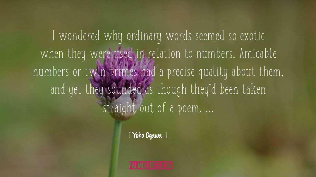 Primes quotes by Yoko Ogawa