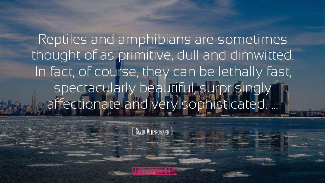 Primitive quotes by David Attenborough