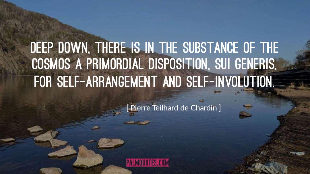 Primordial quotes by Pierre Teilhard De Chardin