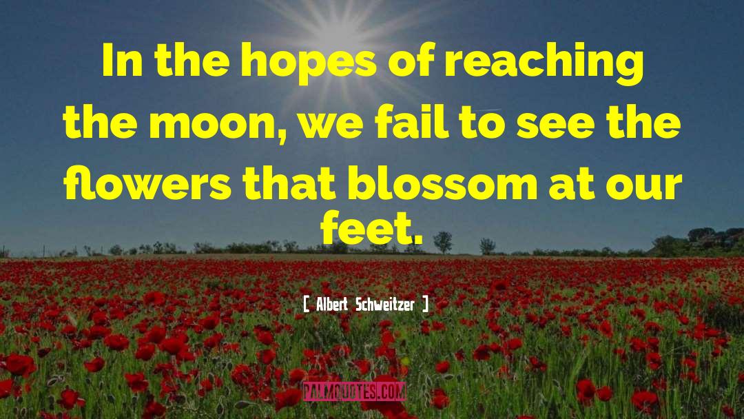 Primulas Flowers quotes by Albert Schweitzer