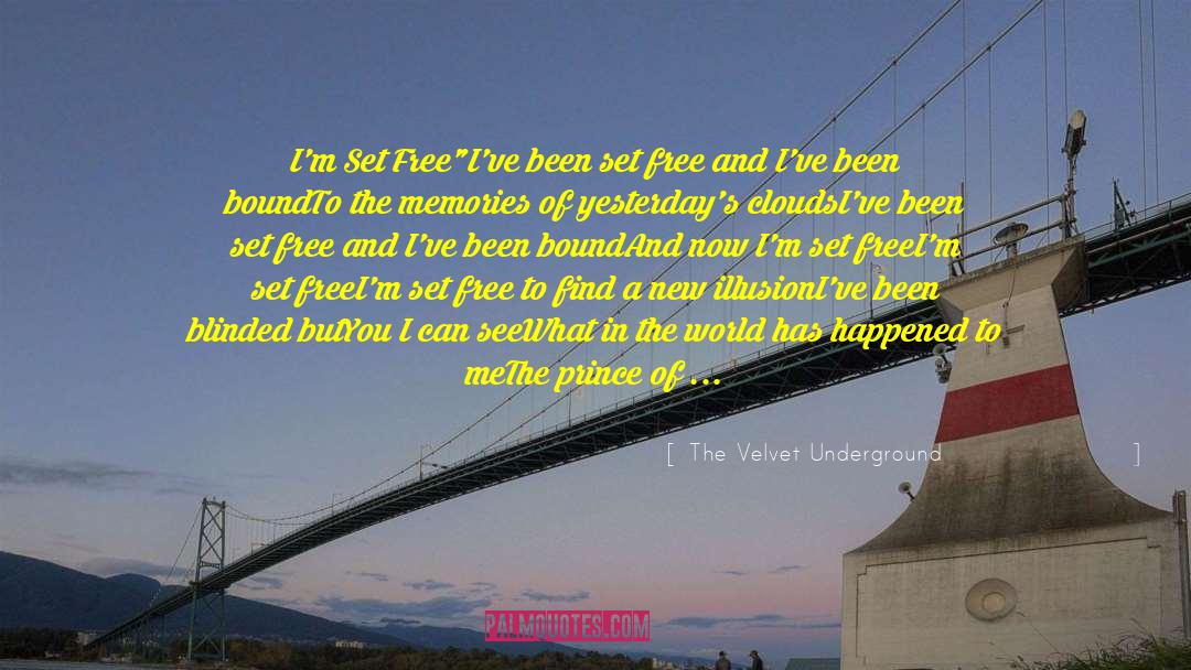 Prince And The Frog quotes by The Velvet Underground