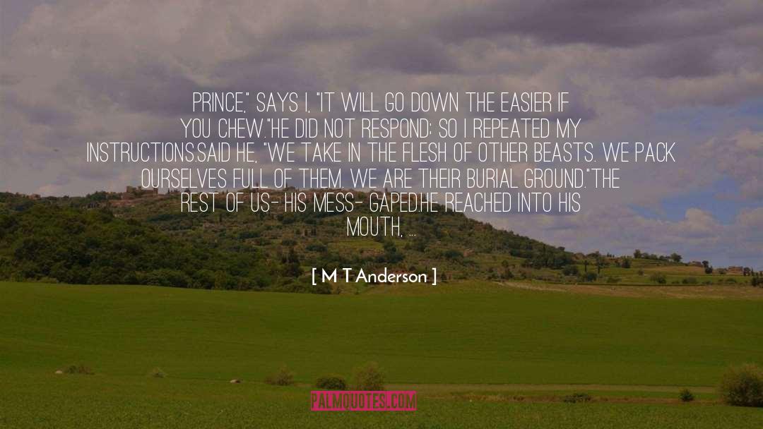 Prince Feisal quotes by M T Anderson