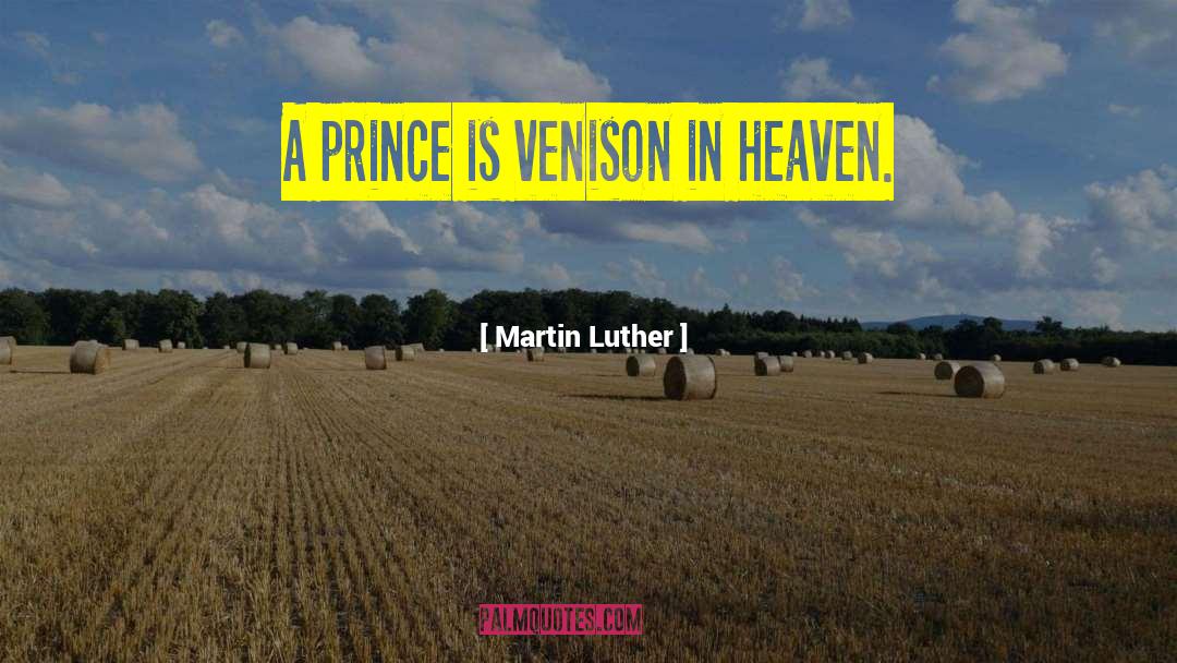 Prince Robot Iv quotes by Martin Luther