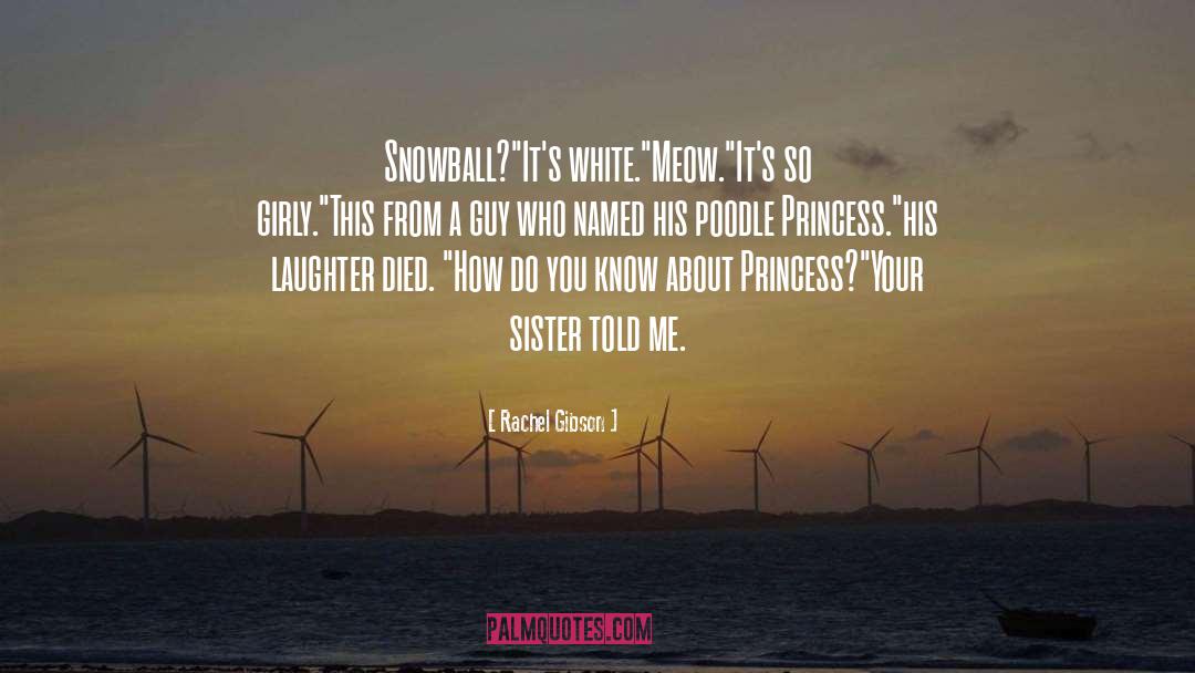 Princess Aurora quotes by Rachel Gibson
