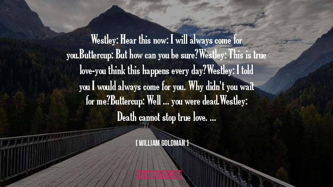 Princess Bride quotes by William Goldman