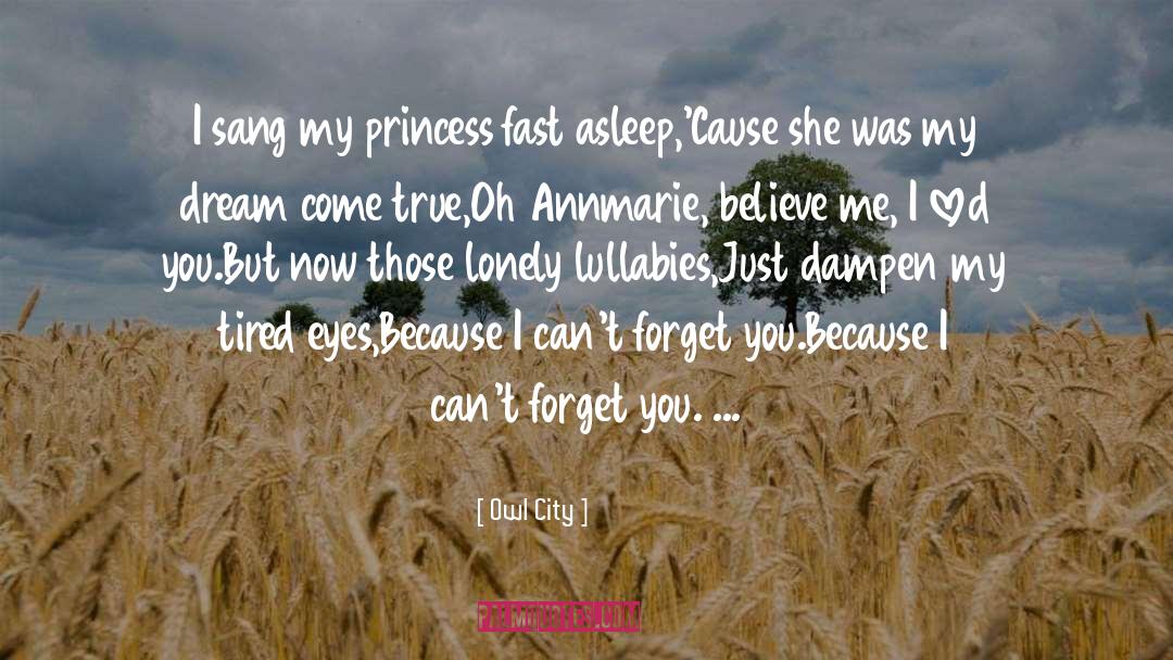 Princess Hannah quotes by Owl City
