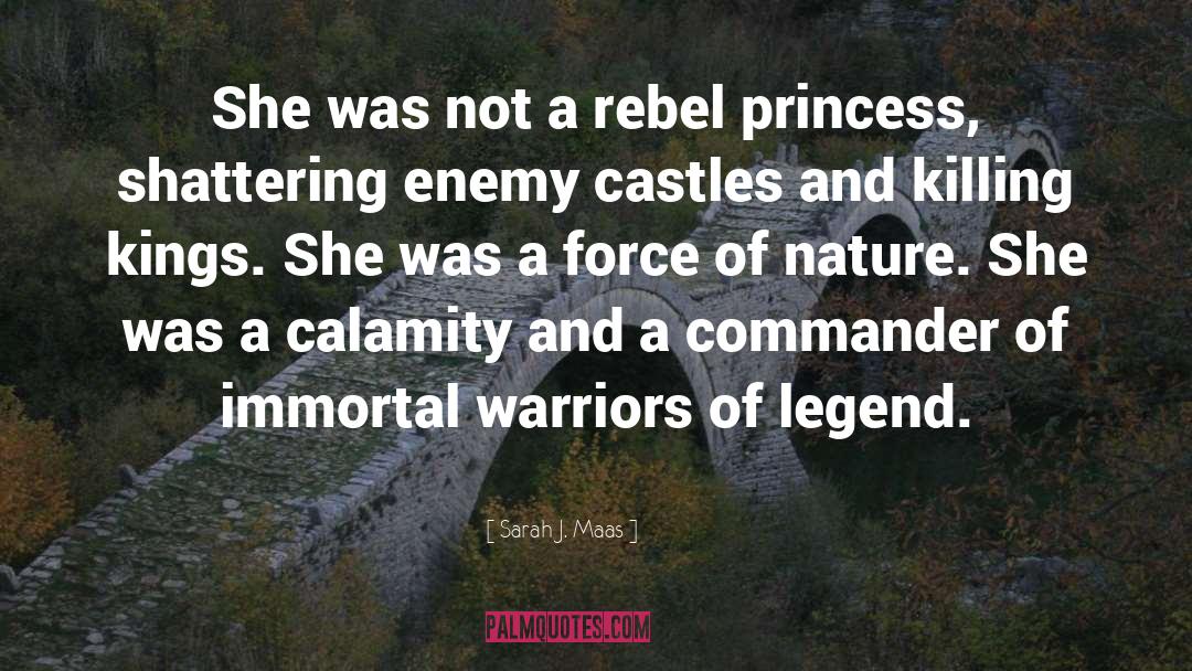 Princess Virginia quotes by Sarah J. Maas