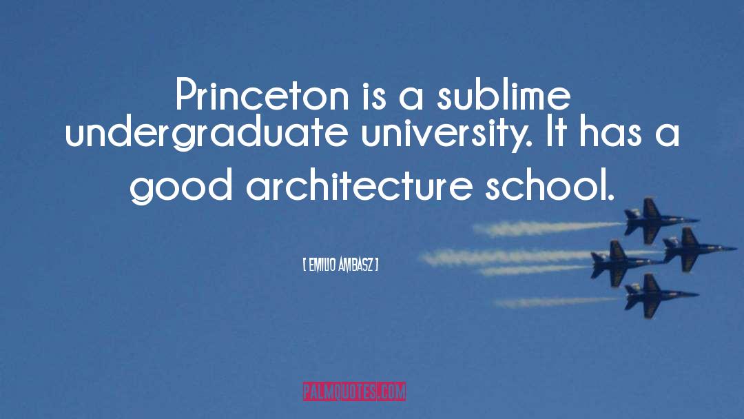 Princeton quotes by Emilio Ambasz