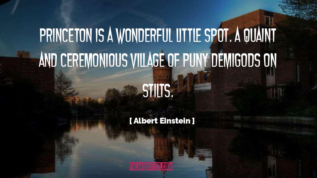 Princeton quotes by Albert Einstein