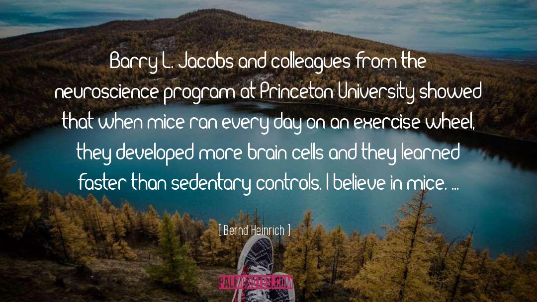 Princeton quotes by Bernd Heinrich