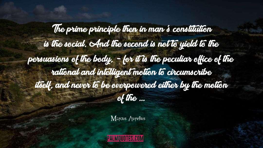 Principle Of Analogy quotes by Marcus Aurelius