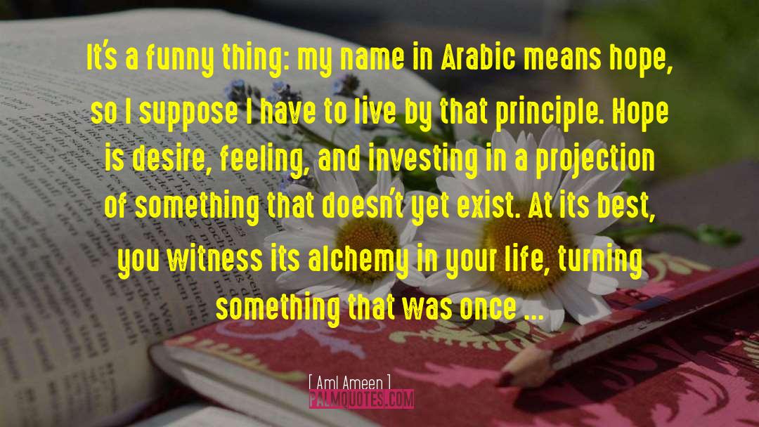 Principle Of Belief quotes by Aml Ameen