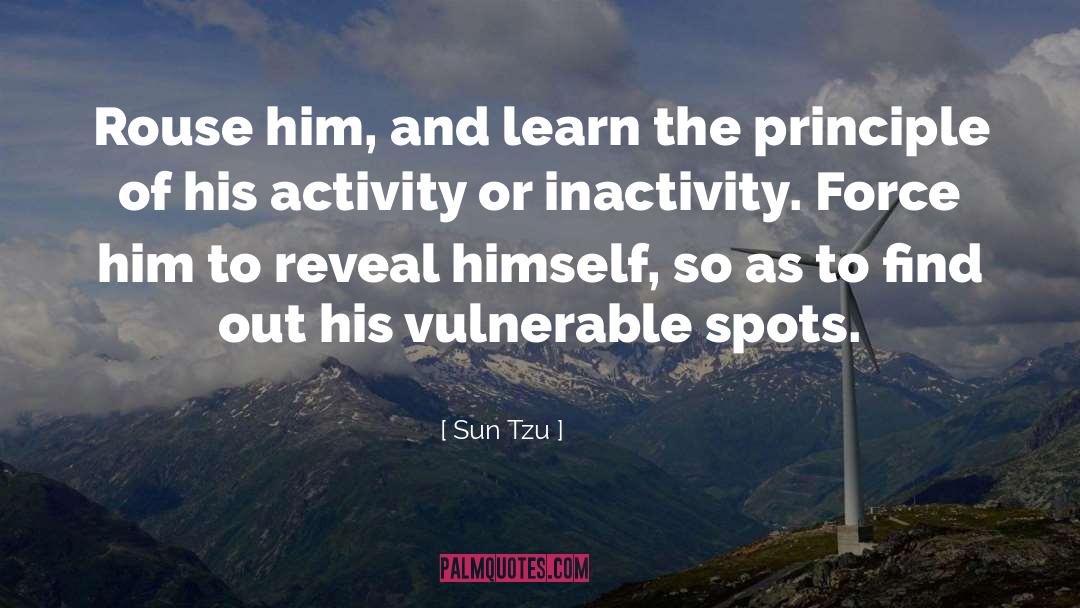 Principle quotes by Sun Tzu