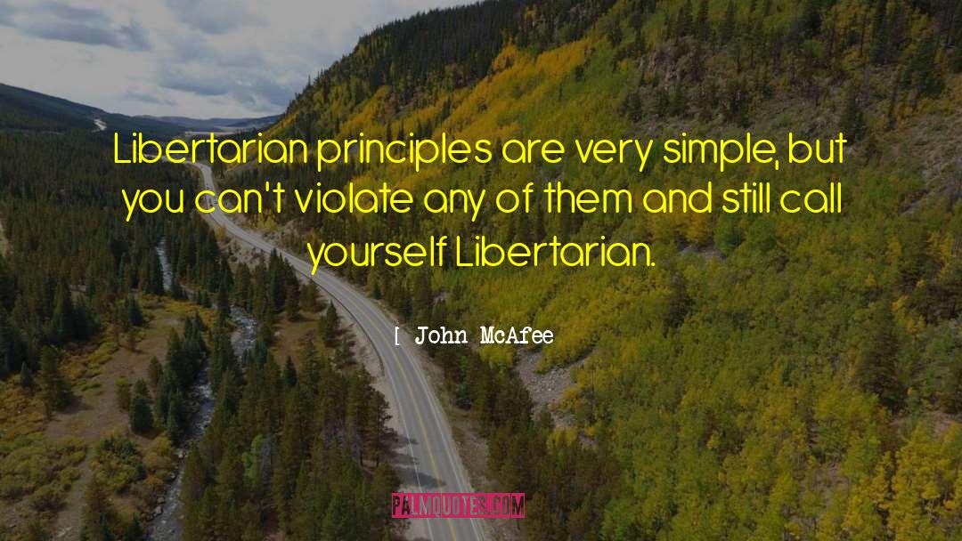Principles Of Success quotes by John McAfee