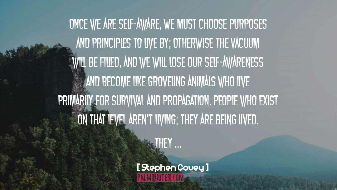 Principles To Live By quotes by Stephen Covey