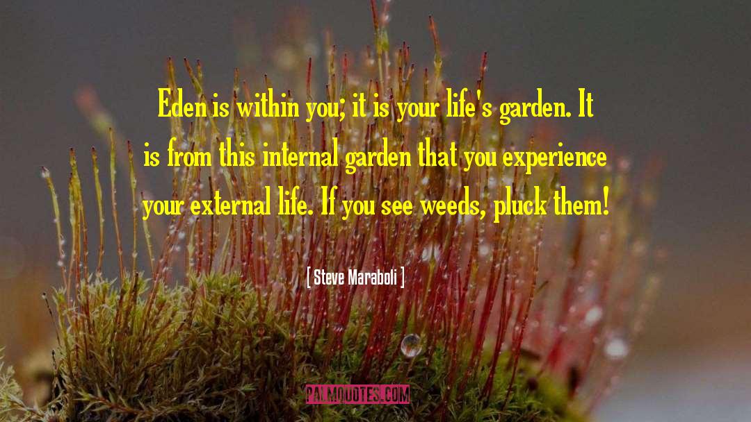 Printania Garden quotes by Steve Maraboli
