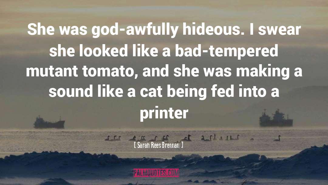 Printer quotes by Sarah Rees Brennan