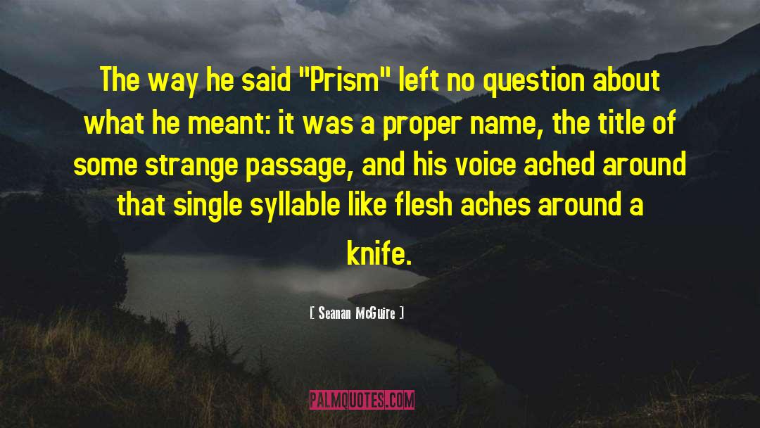 Prism Like Floaters quotes by Seanan McGuire