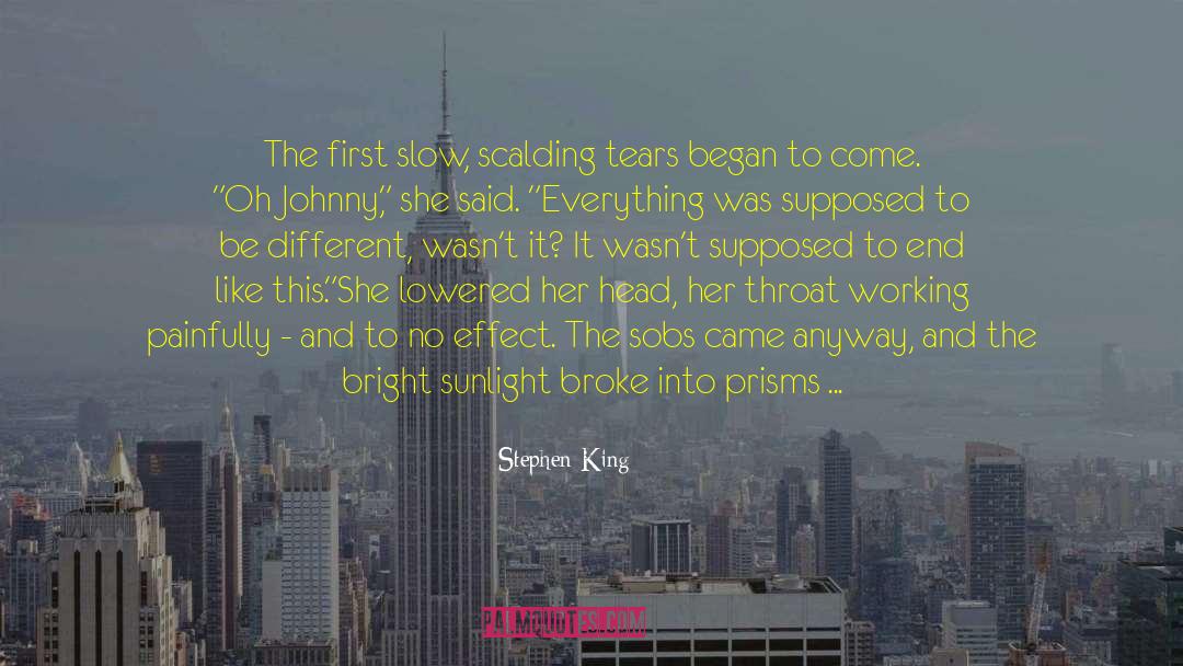 Prisms quotes by Stephen King