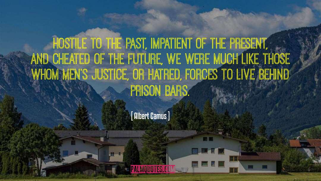 Prison Bars quotes by Albert Camus