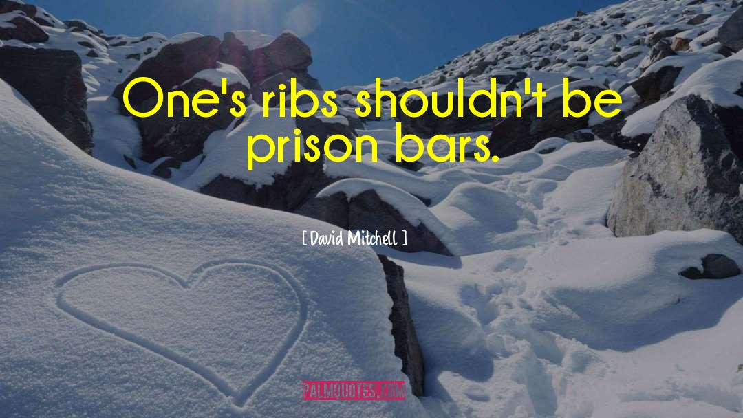 Prison Bars quotes by David Mitchell