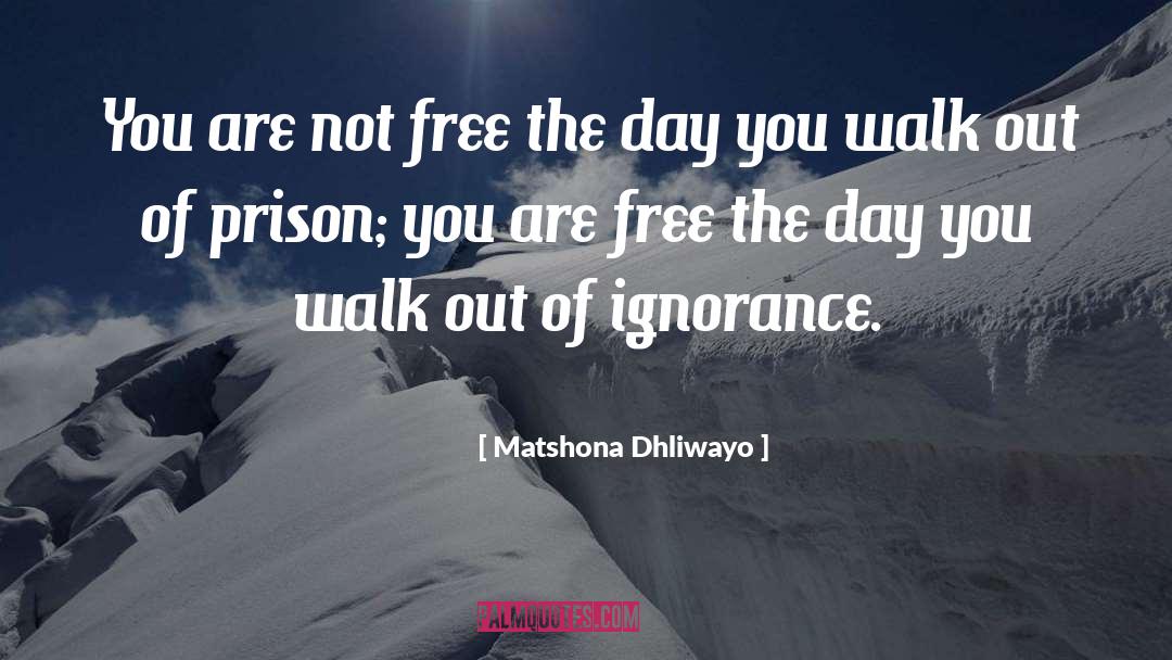 Prison quotes by Matshona Dhliwayo