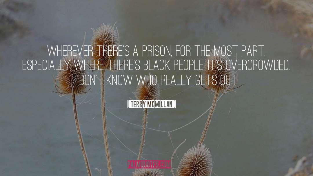 Prison quotes by Terry McMillan