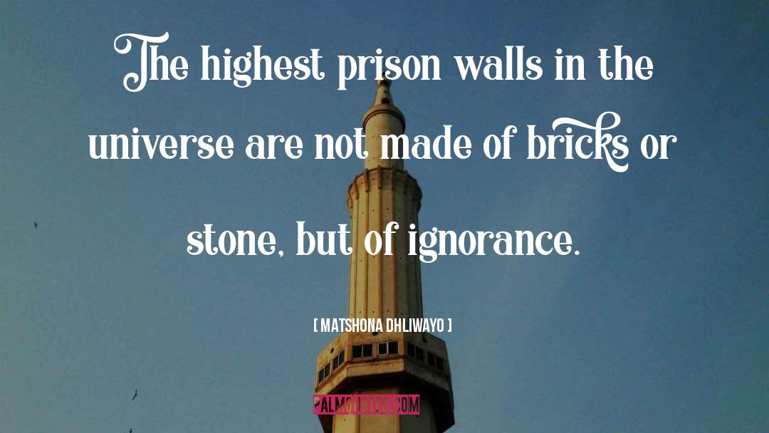 Prison quotes by Matshona Dhliwayo