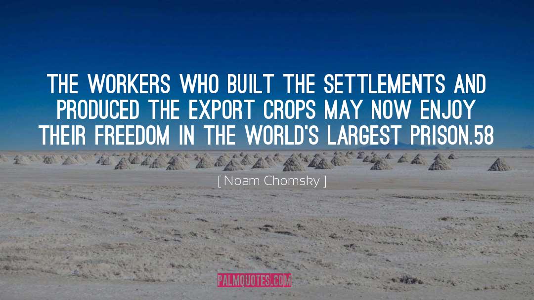 Prison Reform quotes by Noam Chomsky