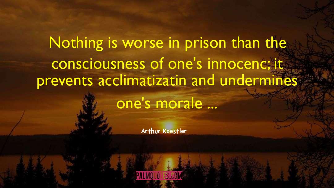 Prison Sentence quotes by Arthur Koestler
