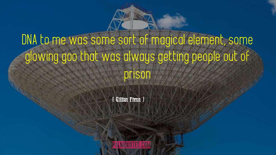 Prison Sieges quotes by Gillian Flynn